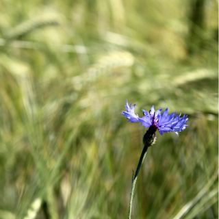 Długotrwałe działanie